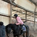 용인 승마장 범스스테이블 첫 기승 후기