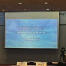 [시민제안강의] 행복한 어른을 위한 그림책 마음코칭 | [Sunny Scholar] 써니스콜라 활동 결산! 투자한 총 시간은?