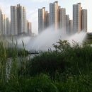 한옥마을로(남) 이미지