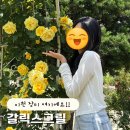 서희테마공원 | [이천] 장미 명소 추천🌹 | 갈릭스 그릴 장미정원 카페 &amp; 레스토랑 후기