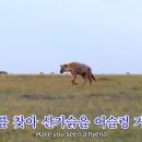 본가집토종순대