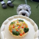 애견종합병원 | 1월 한달 일상 정리｜직장인 일기와 반려동물 이야기