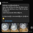 부산 리브동물의료센터 이미지