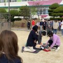 낙산초교 이미지