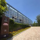 안성시민의 날 기념음악회 | 경기도 용인 당일치기 여행 용인 자작나무숲 수국축제 나들이 데이트 코스 아이와 놀러가기 좋은 곳