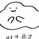 미크플로 이미지