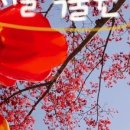 (주)라크루뜨 네이버블로그