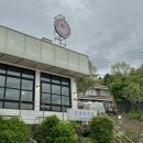 [남양주 애견동반 카페] 금남리커피 | 망고빙수 맛집 | 강아지 실내동반가능 | 주차가능