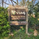 초원어린이집 | 충남 예산 아그로랜드 태신목장 30만 평 초원에서 소젖도 짜고 꽃밭도 걷는 가족 여행지