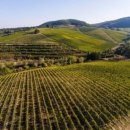 2022 | 티냐넬로 2022 (TIGNANELLO 2022) 시음후기, 마르케시 안티노리 티냐넬로 토스카나 슈퍼투스칸 시음.