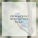 커튼이야기