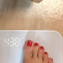 와플대학강릉포남캠퍼스 | 25’ Oct. - 3 강릉가을패디썸네일/ 강릉 옛빙그레 쫄사리김밥/ 환승연애4후기/강릉포남동와플대학
