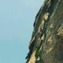 석이농장 이미지