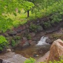 장성시내길 이미지