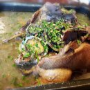 황금오리하우스 이미지