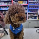 지에스(GS)25 아름다운미소점 이미지