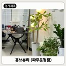 홍`s뷰티 | [경기/파주] 운정메이크업, 속눈썹 잘하는 곳 '홍쓰뷰티'