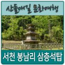 남산(서천분교)초등학교 | 서천 봉남리 삼층석탑