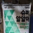 천일농장 이미지
