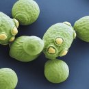 술의온도 이미지