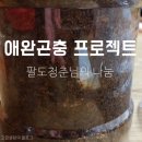 친환경곤충연구소 네이버블로그