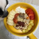 제이펫컴퍼니 이미지