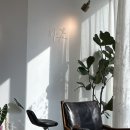 용산역 미용실 MIIJA 베오원장님 염색, 테슬컷 후기