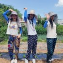 6시내고향 이미지