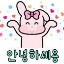 거대한맛기똥찬손만두