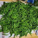 금문농장2 이미지