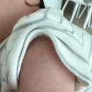 삼성키즈소아청소년과의원 | 하남시 보건소 신생아 피내용 BCG 접종 / 하남 미사 1차 영유아검진 병원 후기