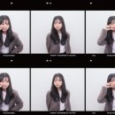 댕컷 이미지