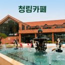 경기광주 대형카페, 초월 신상카페 청림카페 후기