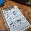 소3-1 | 군자 맛집 대명소곱창 방문 후기 | 1인 30,000원 솔직 리뷰