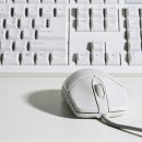 그린PC 이미지