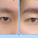 피씨엘코리아 이미지