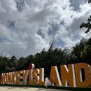 송이도선착장입구게시대 | 나트랑 원숭이섬 후기🐒