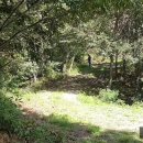 아짱아짱 이미지