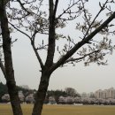 분당구청 이미지