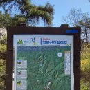 원주굽이길 원4코스 명봉산진달래길 이미지