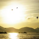 남해바다 이미지