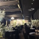 방배로28길 36 | W01. 대망의 홀투어 - 더컨벤션 반포, 아펠가모반포, 더베뉴지, 더뉴컨벤션, 먼셀커피, 녹지, 우동키누