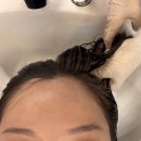 교촌치킨 망원점 | [망원] 손상모 클리닉 후기 망원동 미용실 | 에이바헤어 망원역점