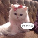 거안5길 | [일상]훨훨 날라, 훨훨 날아 보켜