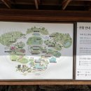 수선화 축제시즌 화담숲 모노레일 없이 방문후기 및 주변 맛집 추천