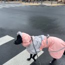 티몬이네 목욕탕 이미지