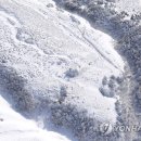 제주청소대통령 이미지