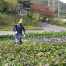 정리마을회관 이미지