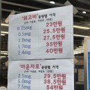 엠유피 | [공지] [다이어트] 마운자로 진료 + 가격 + 1회차 후기 🧪💉