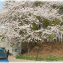 삼화목장 이미지
